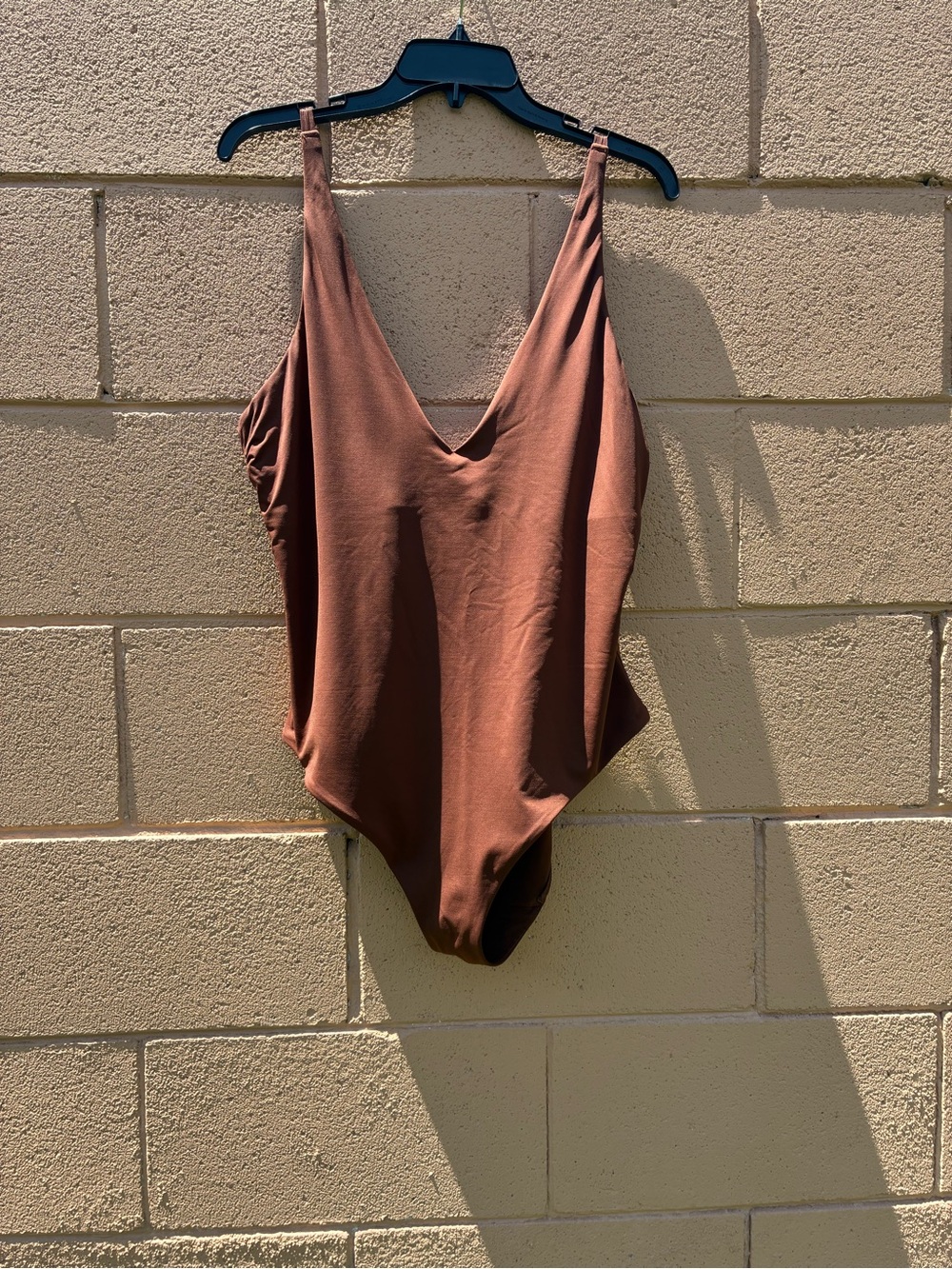 Everlane Brown One-Piece Swimsuit